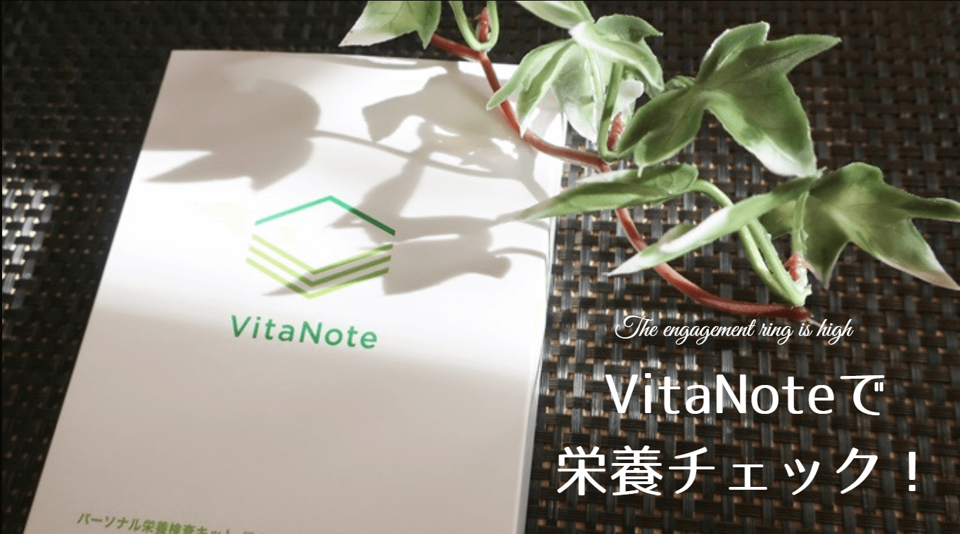 VitaNoteの栄養検査